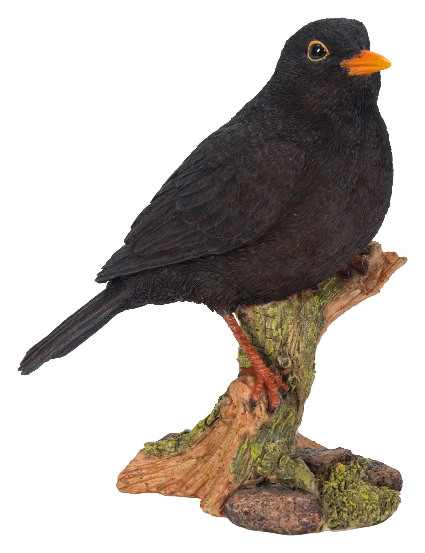 Vivid Arts Garden Birds (Blackbird)