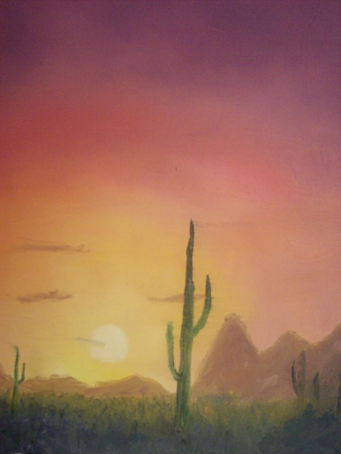 Amazon Com Arizona Desert Sunset Handmade