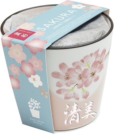 Amazon 名入れ 盆栽 栽培セット 山桜 栽培キット オンライン通販