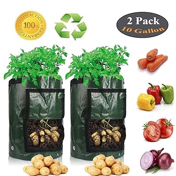 Bolsas plantas | Bolsas de plástico, de papel, de tela, personalizadas...