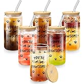 Jingmore 6 Pcs Appreciation Cups Gifts 16oz Drinking Glasses with Lids and Straw for African American Medical Assistant Tech Vet Receptionist Housekeeper Bus Driver Book Lover(You're Pawsome)