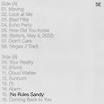 No Rules Sandy[LP]