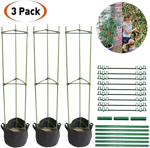 LIBRNTY 3pcs Apoyo para Plantas, Soporte para Jaula de Jardín ...