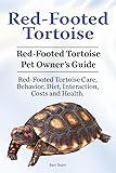 Red-Footed Tortoise. Red-Footed Tortoise Pet