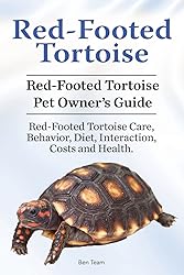 Red-Footed Tortoise. Red-Footed Tortoise Pet