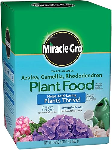 hstcstbl-table__image