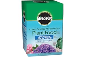 Miracle-Gro 1000701 Pound (Fertilizer for Acid Loving Plant Food for Azaleas, Camellias, and Rhododendrons, 1.5, 1.5 lb