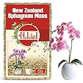Halatool Premium New Zealand Sphagnum Moss, 100g(8L When Hydrated), for Orchid Repotting Succulent Sarracenia Potted Plants Gardening & Reptiles