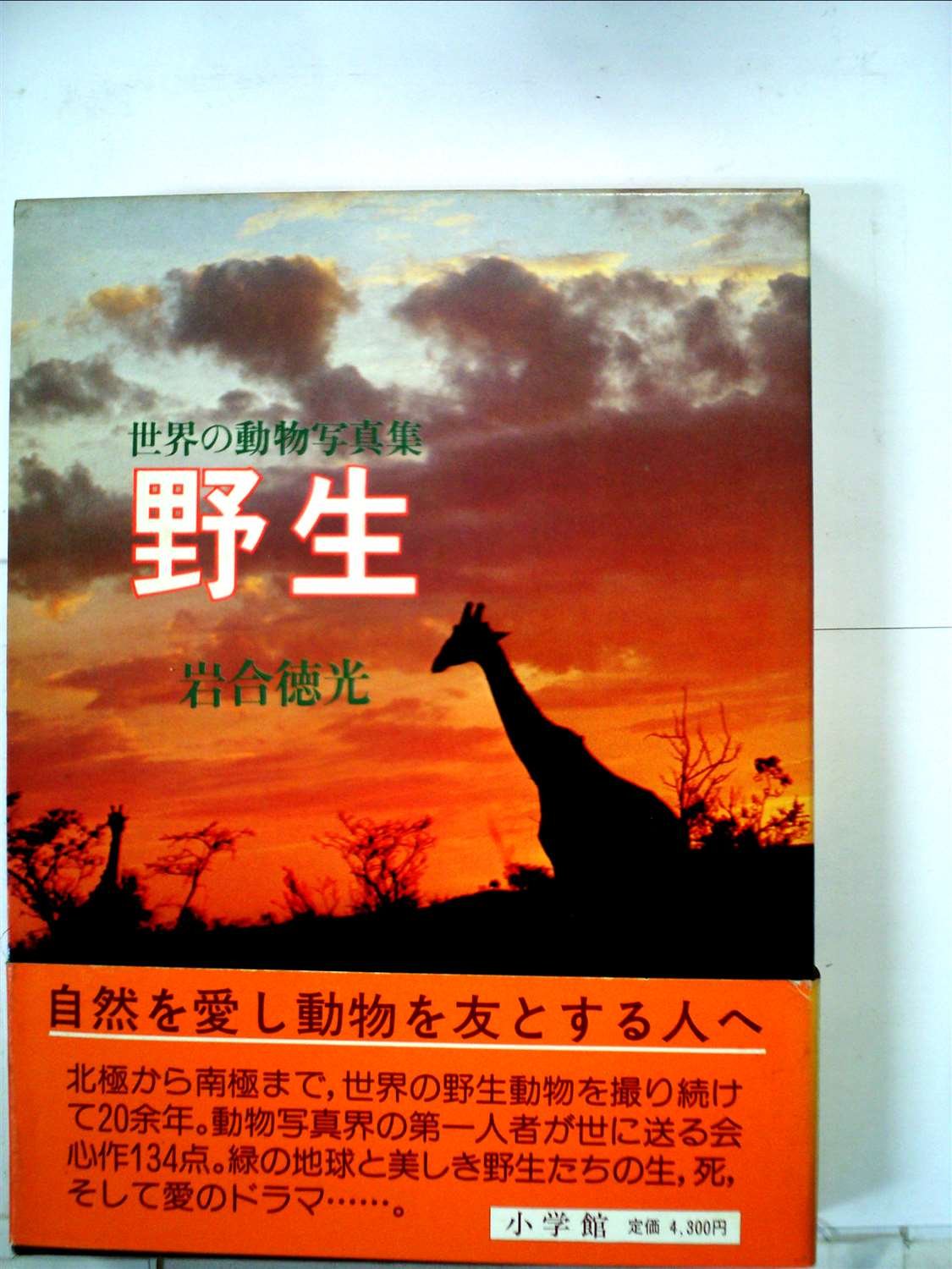 野生 世界の動物写真集 1976年 本 通販 Amazon
