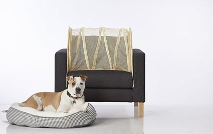 Amazon Com Couch Defender Chair Defender Keep Pets Off Of Your
