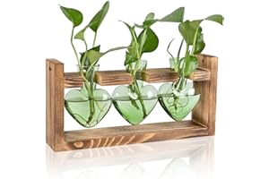 MTSIGNS Plant Terrarium Propagation Stations Hydroponics Home Garden Decoration Gift for Women with Wooden Stand Heart Shaped Colored Glass Vase