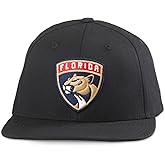AMERICAN NEEDLE Officially Licensed NHL National Hockey League Archive 400 Adjustable Snapback Baseball Hat