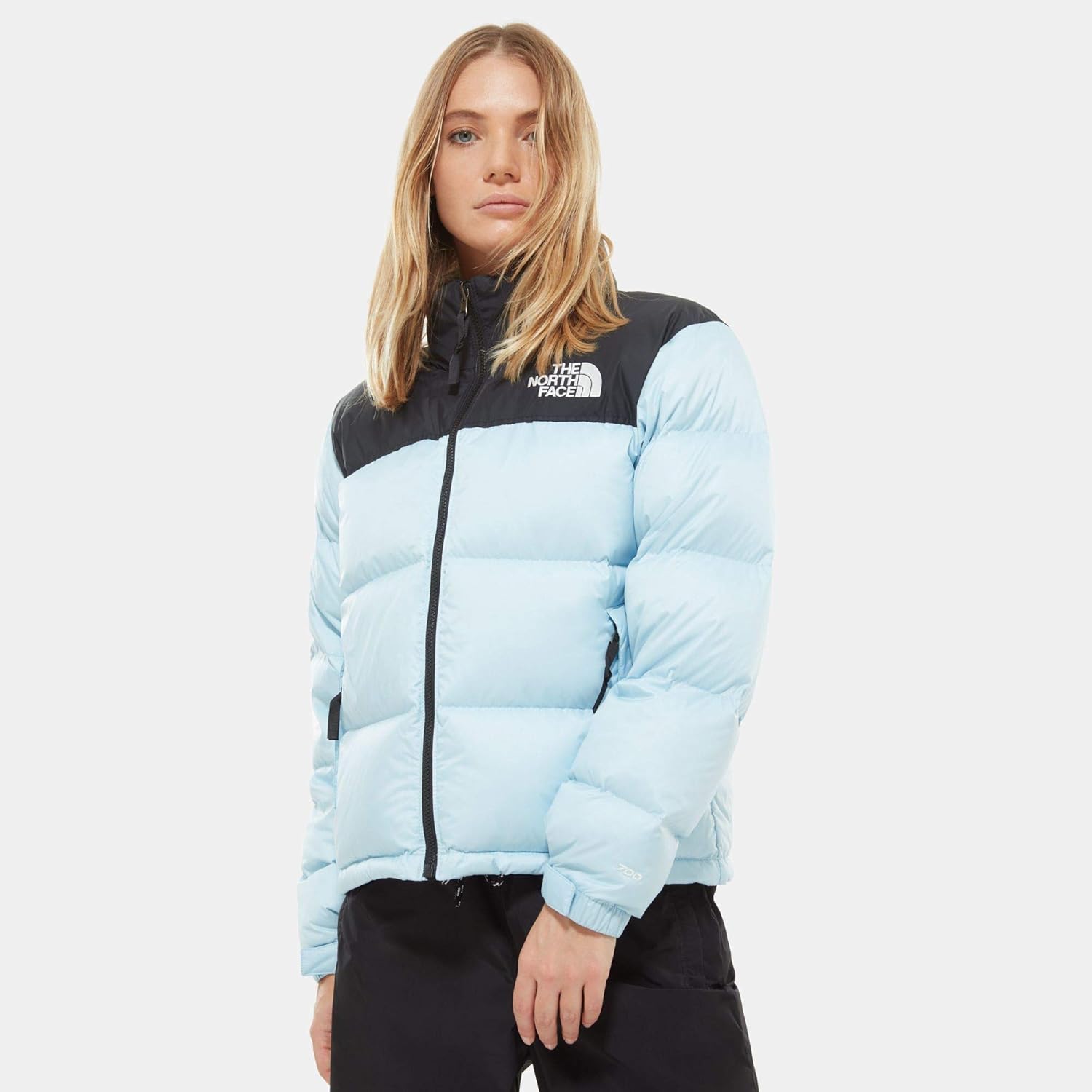 angel falls blue north face jacket