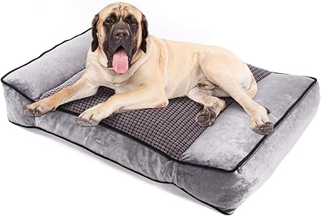 cool dog beds for large dogs