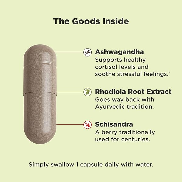 OLLY CHILL ADAPTOGEN, ASHWAGANDHA, MOOD SUPPORT SUPPLEMENT WITH RHODIOLA ROOT, VEGETARIAN CAPSULES – 30CT