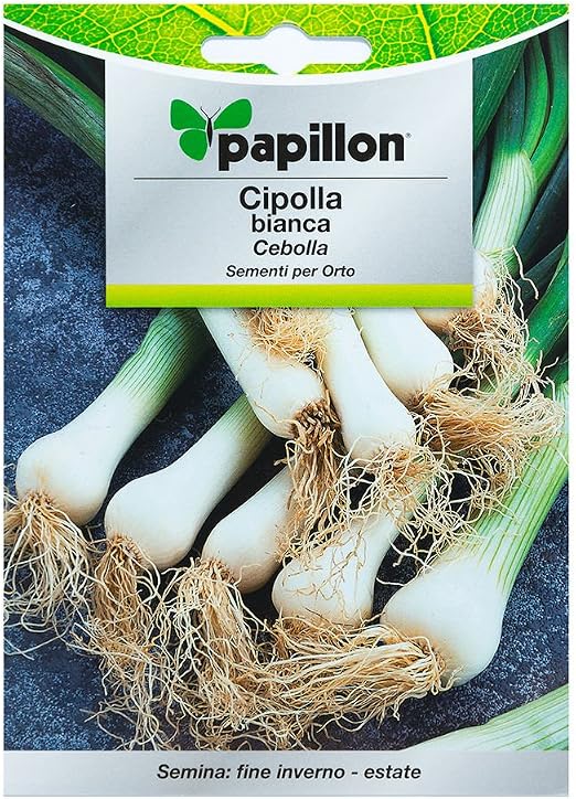 Semillas Cebolla Blanca (4 Gramos): Amazon.es: Jardín