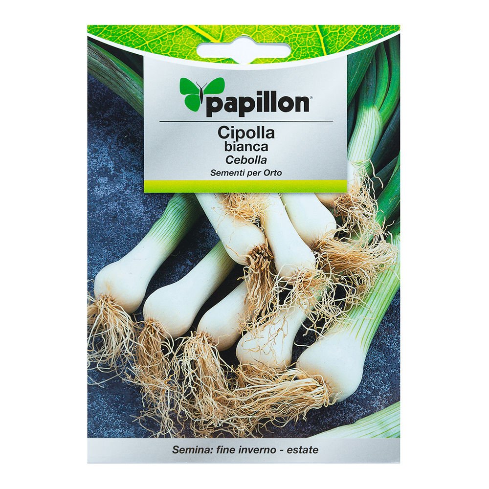 Semillas Cebolla Blanca (4 Gramos): Amazon.es: Jardín