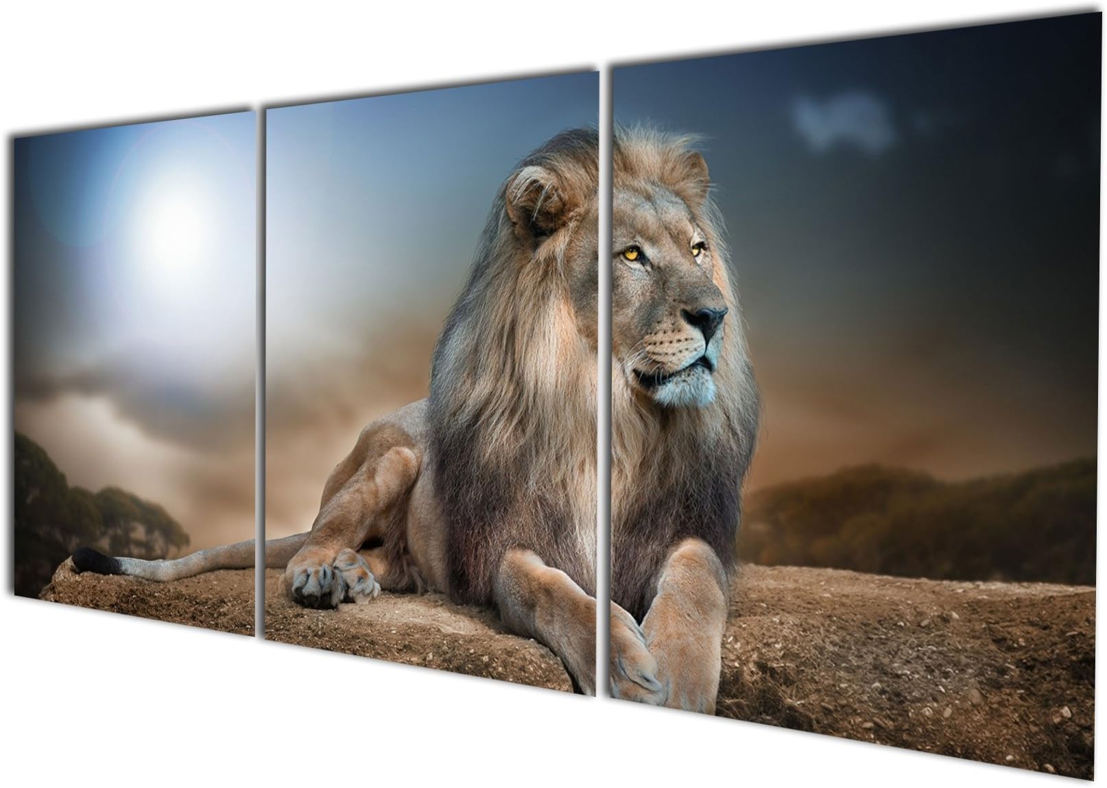Gardenia Art - Animal World Series 24 Wild Lions Canvas Wall Art Paintings Animals Watercolor Pictures Artworks for Bedroom Living Room Decoration,24x16 inch/Piece, Framed, 3 Panels