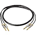 Amazon Basics Banana Plug 16AWG Speaker Cable Wire, CL2 Rated with Gold-Plated Banana-Tip Plugs (4mm), 99.9% Oxygen-Free Stranded Copper Wire, 3 foot, Black