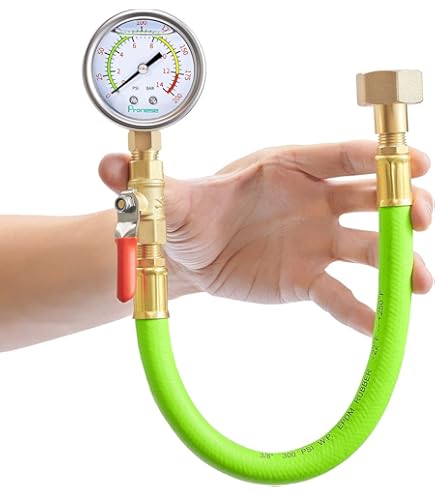 Rothenberger 60250 TP25 - Pompa Test Di Compressione, 25 Bar / 363 Psi - Aperto Ma Mai Usato