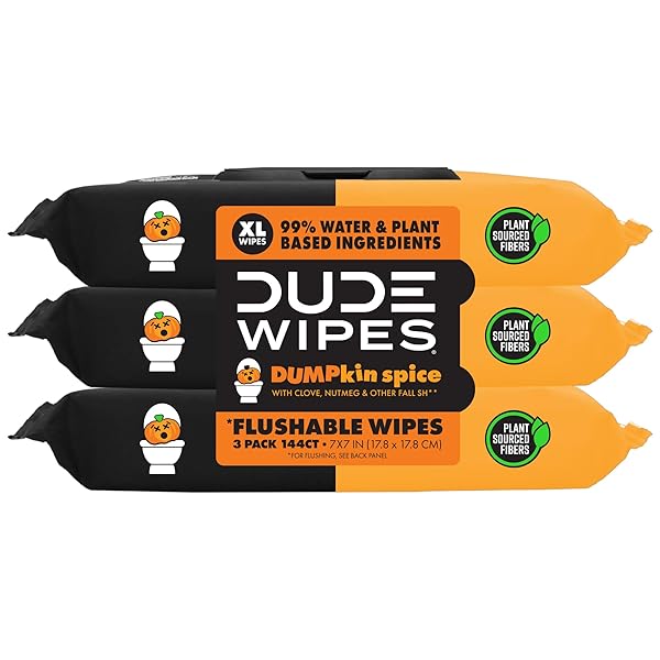 DUDE WIPES DUMPKIN SPICE FLUSHABLE WIPES – PUMPKIN...