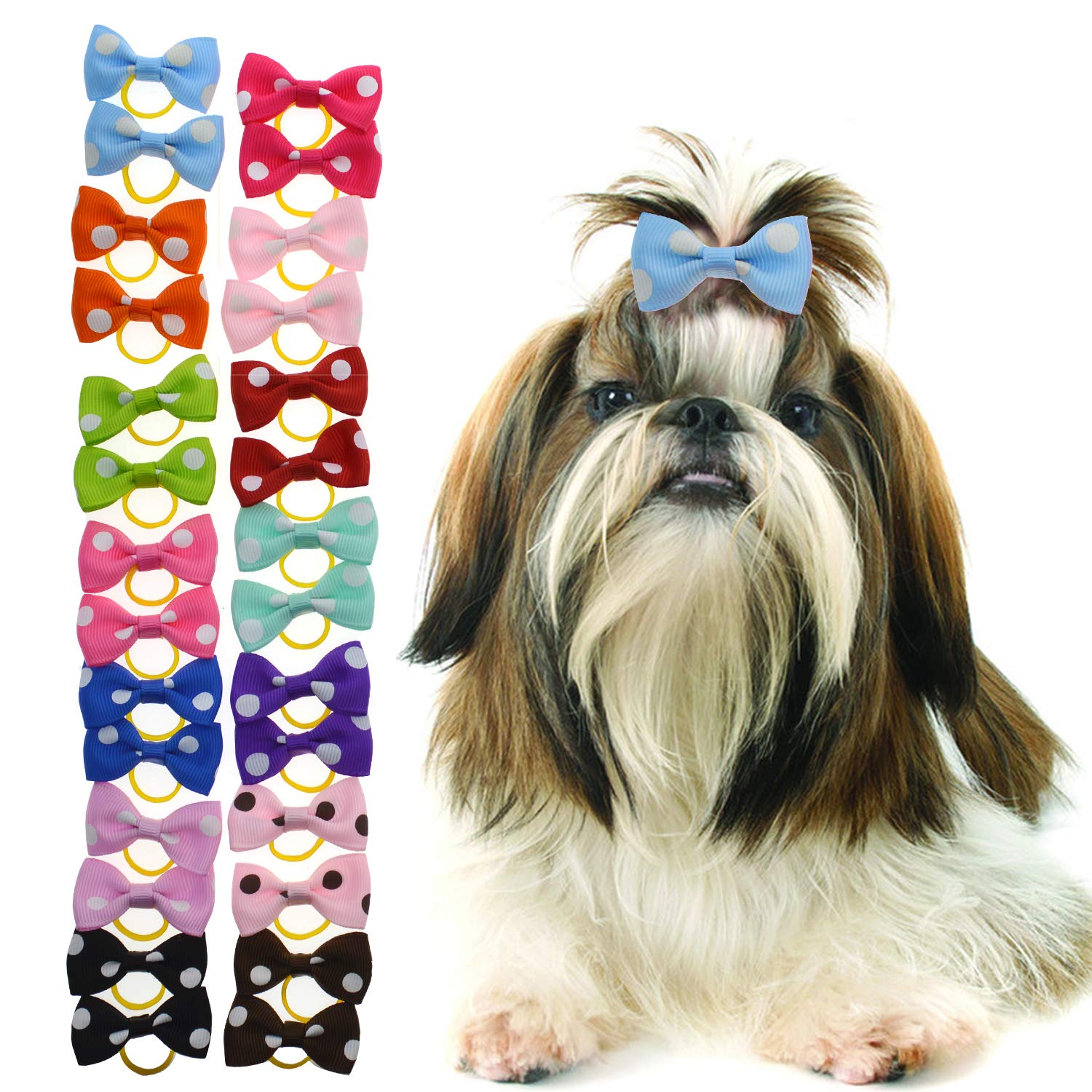female dog bows