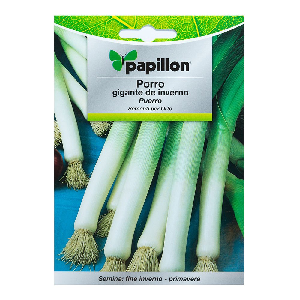 Semillas Puerro Largo De Invierno (3 Gramos): Amazon.es: Jardín
