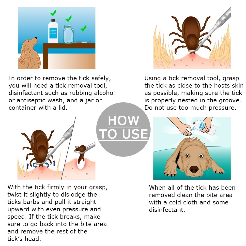 Petshoney Stainless Steel Tick Remover and Tweezers Easy & Safe for Pets like Dogs & Cats, Leather Bag with Two Tools