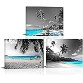SkenoArt 3 Panels Teal Blue Canvas Wall Art Black White Hawaii Beach Pictures Tropical Palm Tree Artwork Prints for Home Office Bathroom Wall Decoration Framed Ready to Hang Seascape Painting