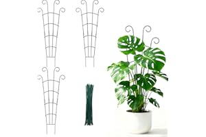 MIJAYENV 30 Inch Trellis for Climbing Plants Indoor 3 Pack Indoor Plant Trellis for Potted Plants Metal Garden Trellis for pots Indoor Outdoor for Monstera Pothos Vine Ivy Hoya(30inch Black)