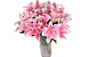 WANGBINYU 10 Stem Pink Giant Lilies Fresh Cut Flower Bouquet Very Fragrant Gifts for home decoration birthdays anniversaries healing sympathy friendship and love