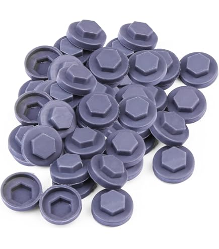 20-Pack Stainless Steel Screw Roof Caps – 1.42 X 0.4 Inch, Weatherproof Covers For Metal Roofing & DIY