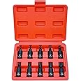 XZN Triple Square Spline Bit Socket Set, Premium Cr-Mo Steel | 10-Piece M4 - M16 Set | 3/8-Inch Drive | Enhanced Storage Case…