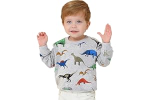 TKRIA Little Boys Dinosaur Shirts Toddler Top T-Shirt Rex Dino Baby Sweatshirts Pullover Clothes Toddler T-Shirt