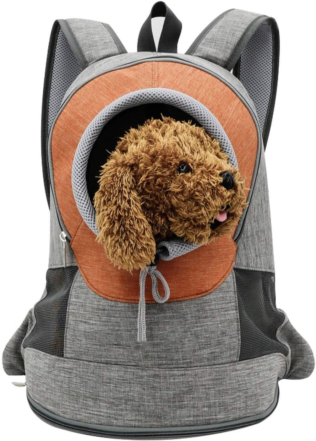 Transportar Mascotas Mochilas Para Perros Caniches Transportar - Main Image