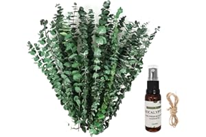 ESLIBIN 28Pcs Dried Eucalyptus Stems-17'' Real Eucalyptus for Shower Hanging, Made from Fresh Natural Eucalyptus Leaves, SPA, Bathroom Kitchen Decor, Home & Farmhouse Decor, Wedding, Baby Shower