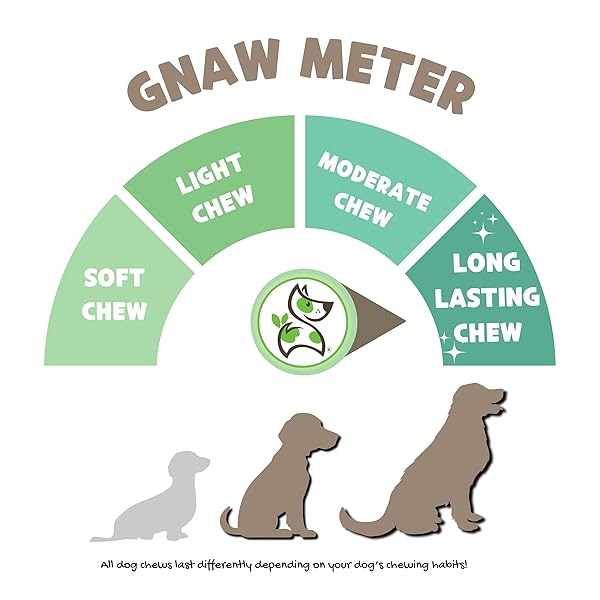NATURE GNAWS BULLY STICK SPRINGS FOR DOGS 7-8″ (6 COUNT) – LONG LASTING FOR AGGRESSIVE CHEWERS – NATURAL CURLY BEEF DOG CHEW BONES – RAWHIDE FREE
