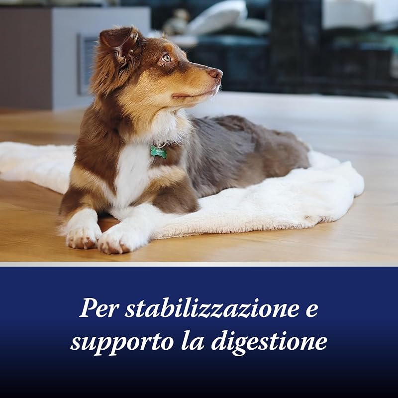 flora intestinale cane - probiotici per cani e prebiotici - enzimi digestivi - supporta i disturbi digestivi - rafforza la flora intestinale - probiotico digestivo per cani - 30 compresse
