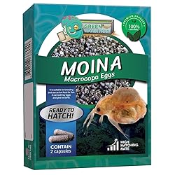 GreenWaterFarm Moina Macrocopa Eggs