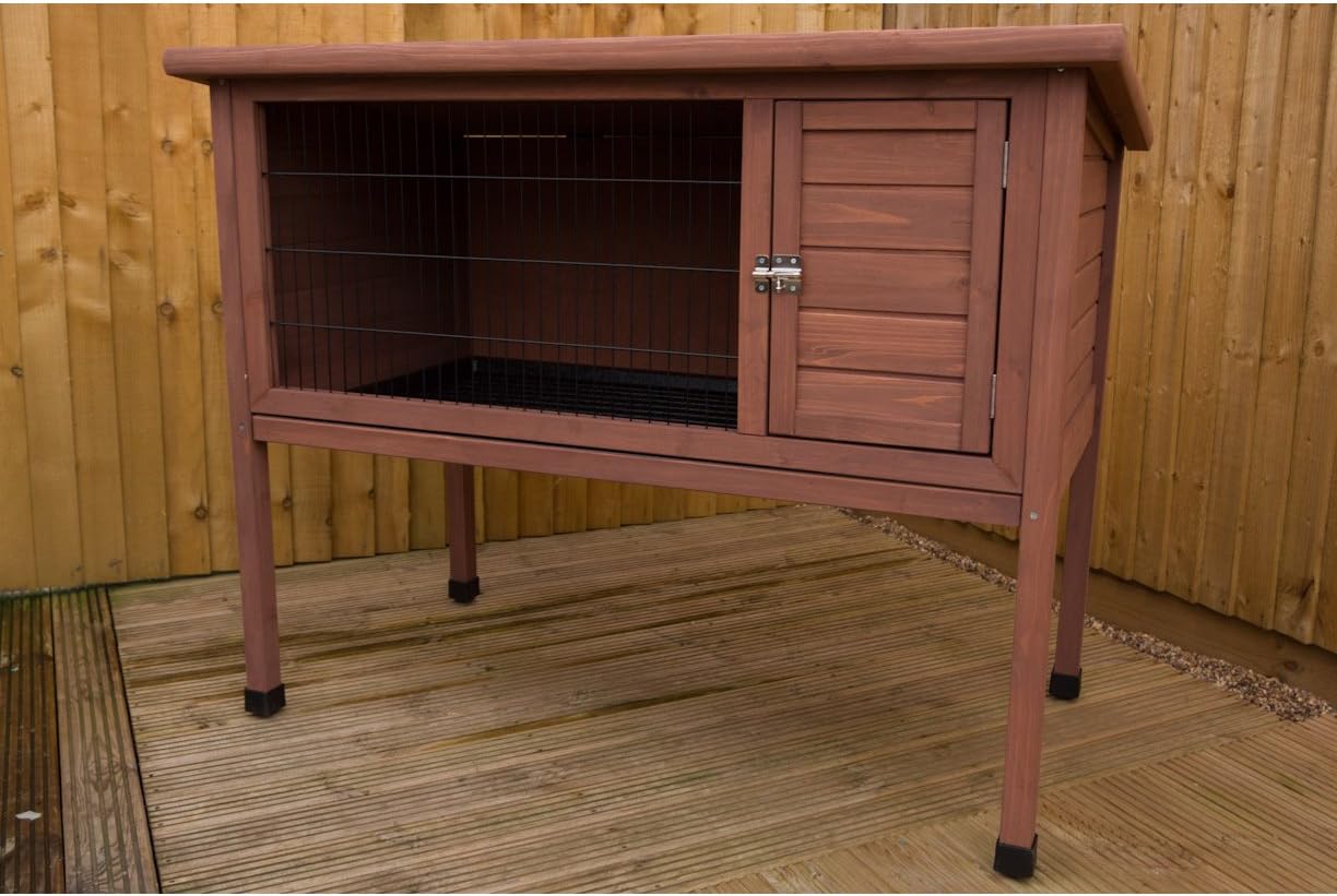 raising a blue heeler