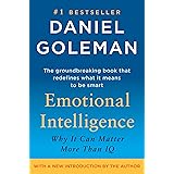 Emotional Intelligence: Why It Can Matter More Than IQ