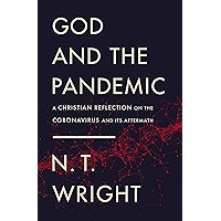 God and the Pandemic: A Christian Reflection on the Coronavirus and Its Aftermath book cover
