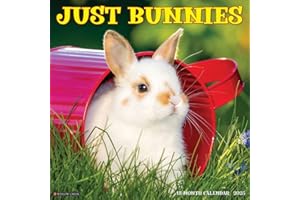 Just Bunnies 2025 12" x 12" Wall Calendar