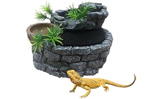 Repticircle 550ML Reptile Water Fountain with Food Dish – Terrarium Drinking Fountain for Bearded Dragon, Gecko, Chameleon, Lizard, Tree Frog & Turtle – Keeps Water Clear, Easy-to-Use Water Dispenser