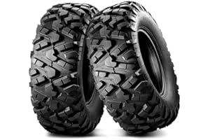 MaxAuto Set of 2 AT25x10-12 ATV UTV Mud Sand Tires,25x10x12 All-Terrain Off-Road Rear Tires,6 PR, Tubeless