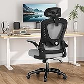 Office Chair, SPRDENG Ergonomic Office Chair with Two-Way Adjustable Lumbar Support & Headrest, High Back S-Shaped Computer C