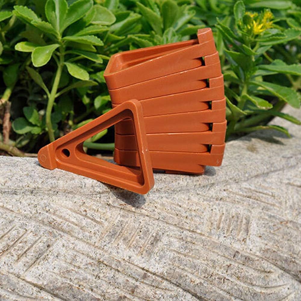 Traliccio per piante rampicanti-AliExpress