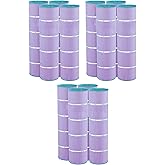 Hurricane Filters 12 Pack HF7471-04P Platinum Purple Pool Filter Cartridge - Replacement for PCC105, Unicel C-7471, Filbur FC-1977, Pentair Clean & Clear Plus 420