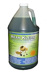 Mean Klean 1-Gal. Concrete & Mortar Dissolver