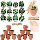 12 Sets Succulent Candle Presents with Terracotta Pots, Mini Cactus Tealight Candle with Organza Bag, Thank You Tag, Twine, for Shower, Wedding, Birthday, Fiesta, Plant Party Decor